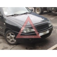 Мухобойка Chery Amulet (ANV air)
