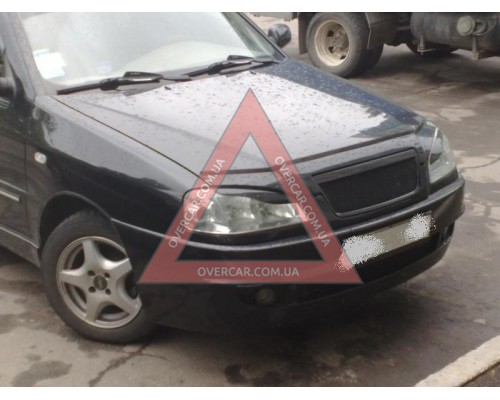 Мухобойка Chery Amulet (ANV air)