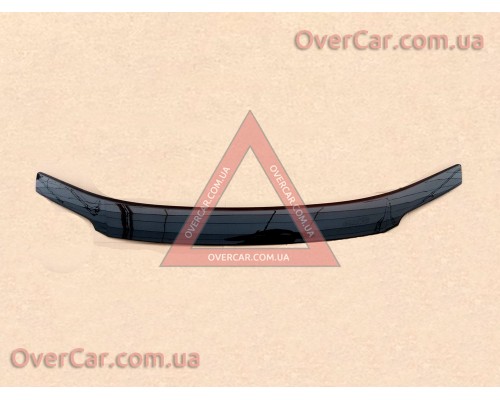 Мухобойка Volkswagen Passat B5+ 2001-2005 (ANV air)
