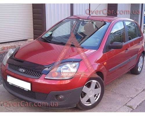Мухобойка Ford Fiesta 02-08 Длинная (Vip Tuning)