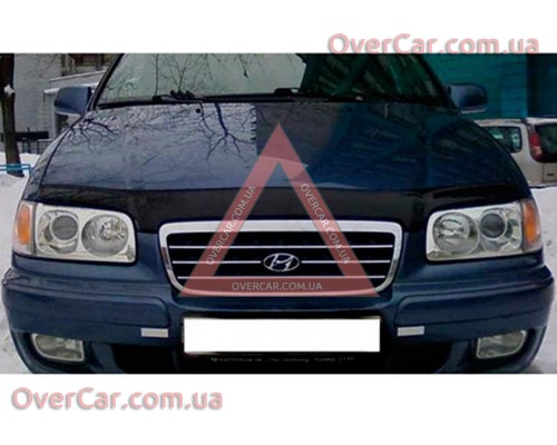 Мухобойка Hyundai Trajet 1999–2008 (Vip Tuning)
