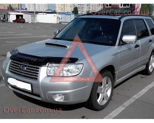 Мухобойка Subaru Forester 2005-2008 (Vip Tuning)